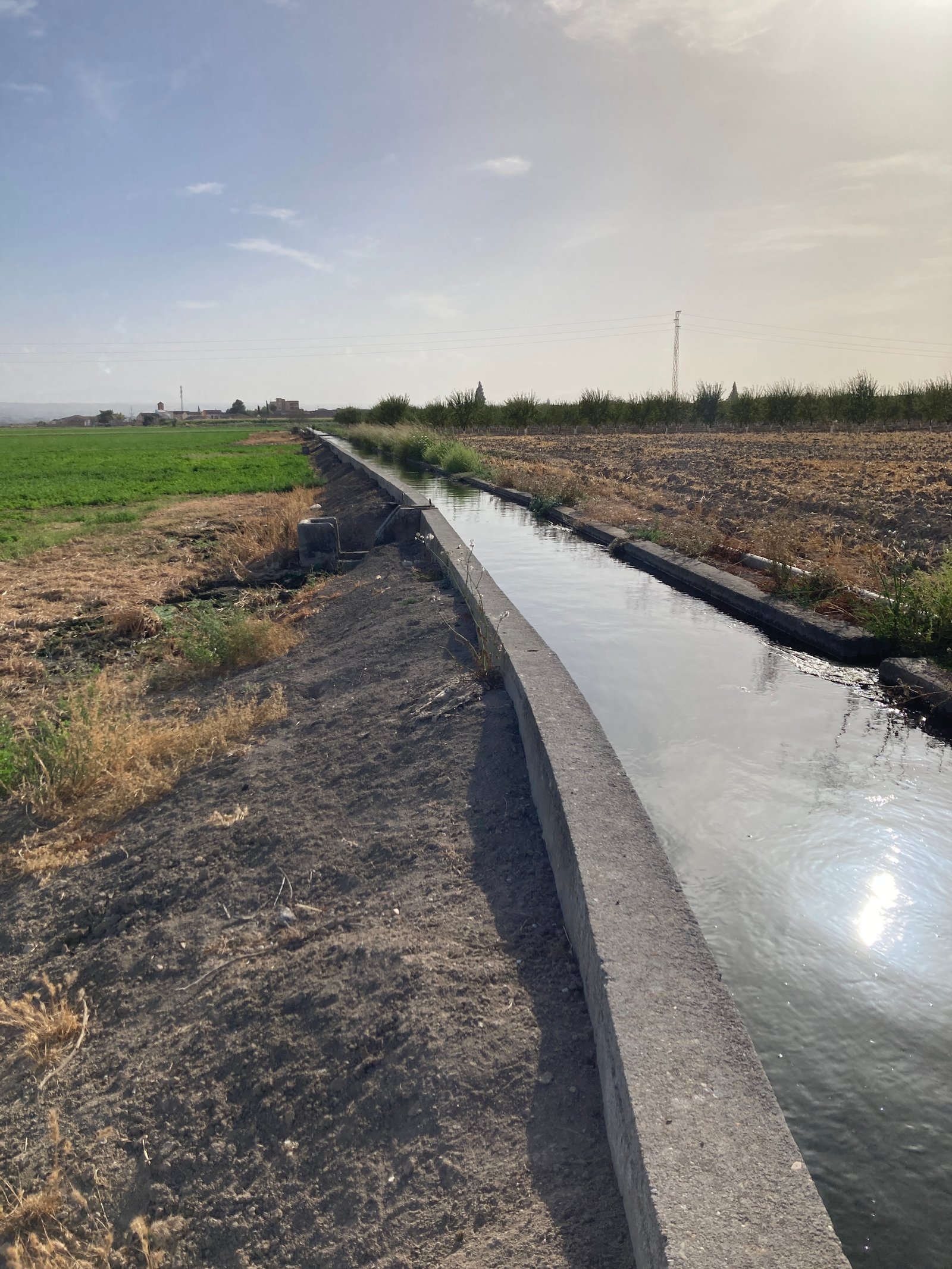 17. IMG_1877.JPG 21sep25 entrada acequia lejos 