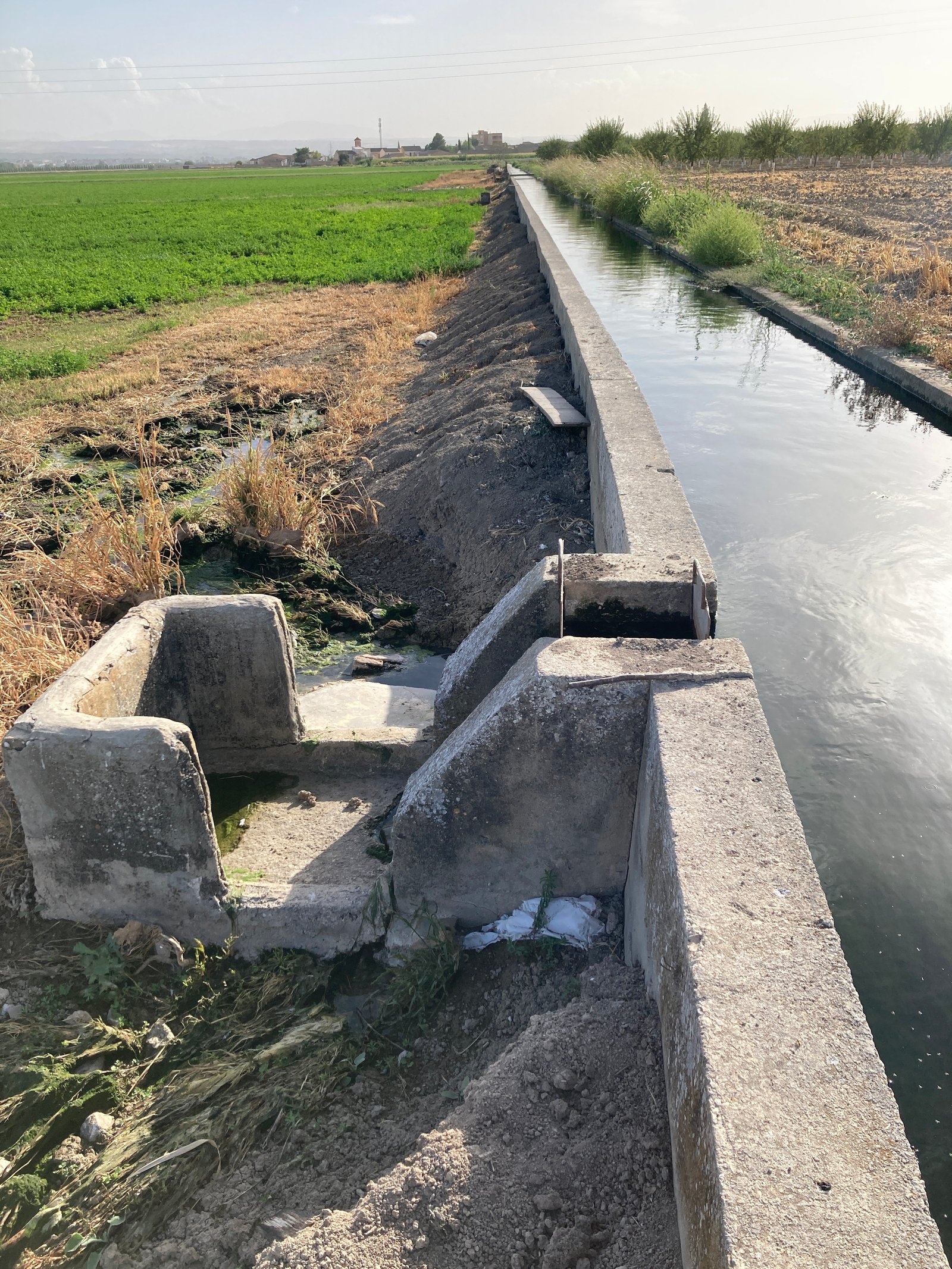 18. IMG_1878 21sep25 entrada acequia cerca
