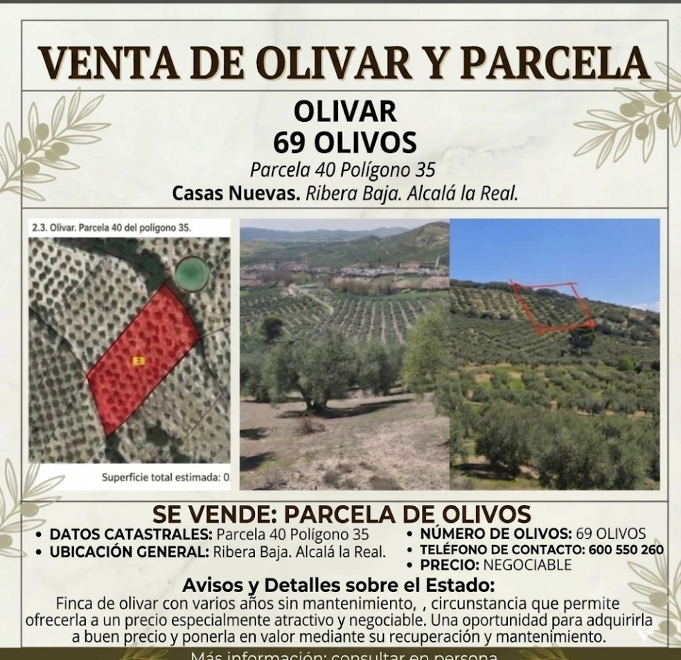 ANUNCIO AGOSTO 2026 FINCA CERRO
