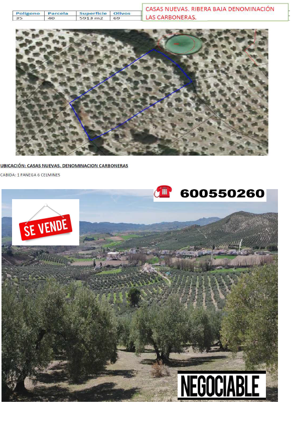 LAS CARBONERAS. RIBERA BAJA.ALCALA LA REAL OLIVAR