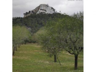 CAN ALOU CON PROYECTO DE EJECUCIÓN