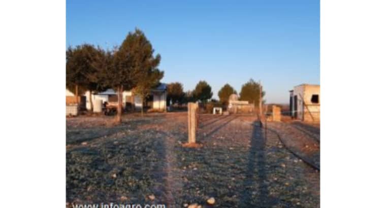 Se vende granja en ciudad real