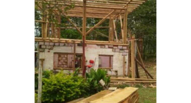 Se vende construcciones en guadua bambu para toda