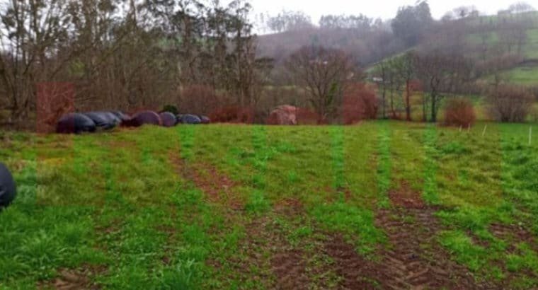 CABAÑA Y FINCA RURAL EN CANTABRIA