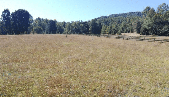 Parcela a 10 Km de Villarrica y a 200 M de la carr