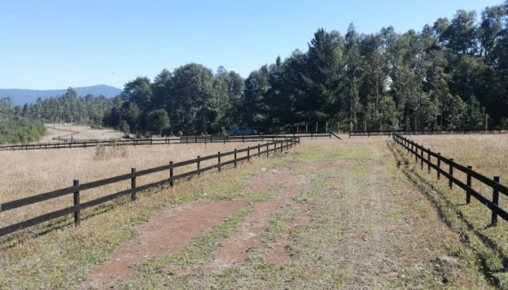 Parcela a 10 Km de Villarrica y a 200 M de la carr