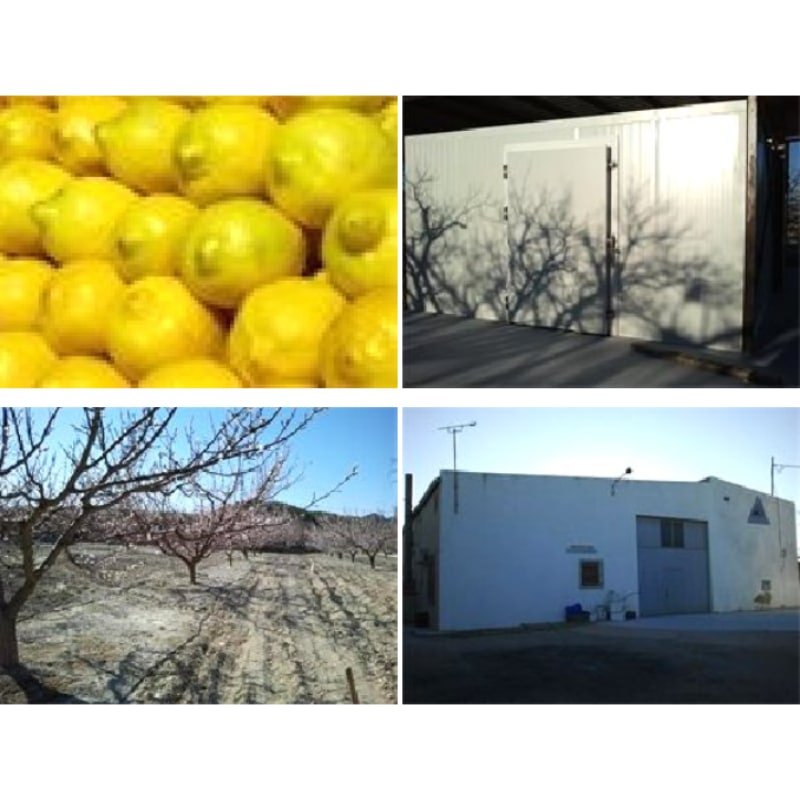 Venta de Limones en Murcia