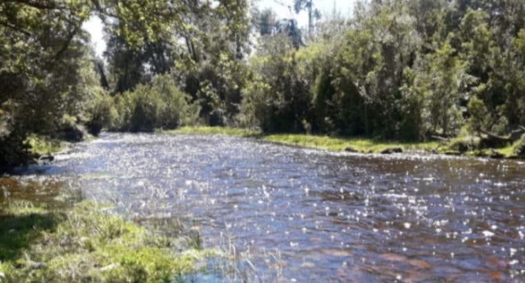 Parcelas de Agrado desde 5000m2 en Ancud – Chiloé