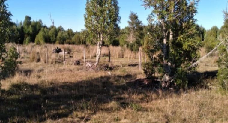 Parcelas de Agrado desde 5000m2 en Ancud – Chiloé