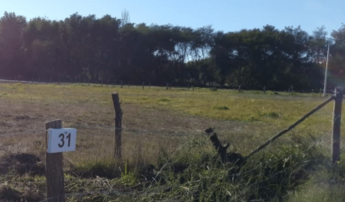 Parcelas de agrado Sector La colonia, Monte Águila