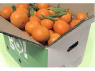 Venta de Naranjas y mandarinas en Valencia