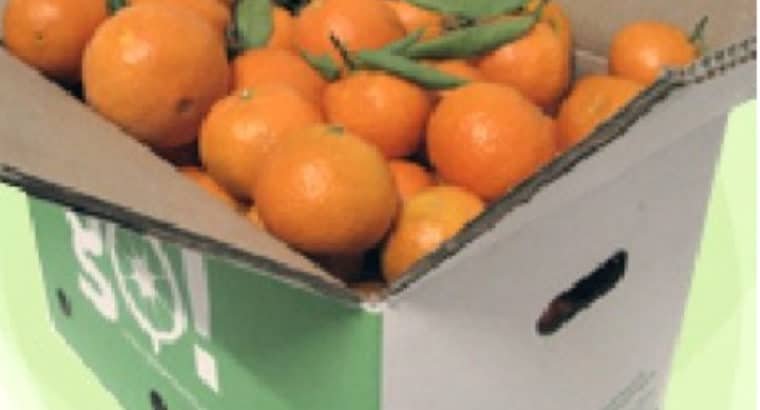 Venta de Naranjas y mandarinas en Valencia