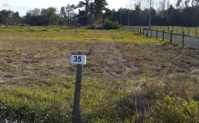 Parcelas de agrado Sector La colonia, Monte Águila