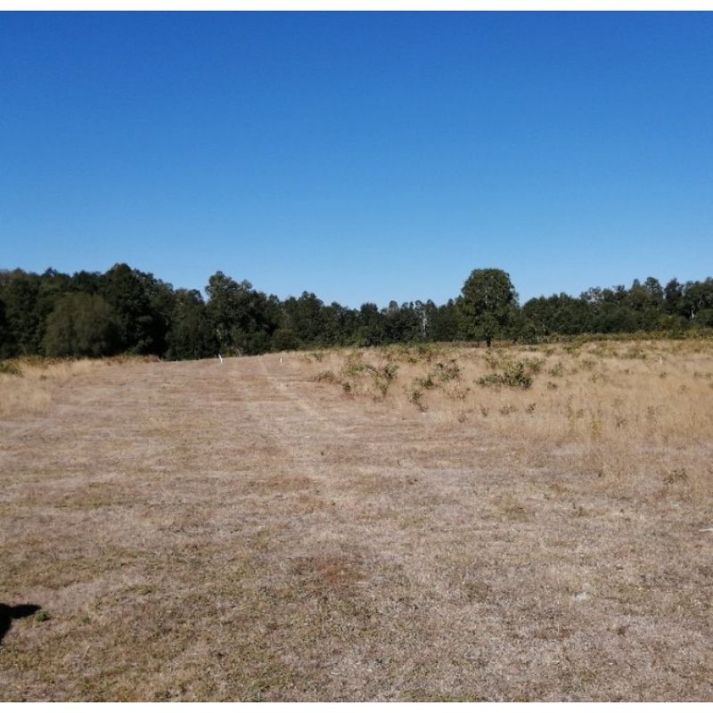 VENTA DE PARCELAS EN COMUNA DE VILLARRICA,RUTA A L