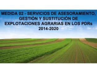 Asesoramiento, gestión y sustitución agricola