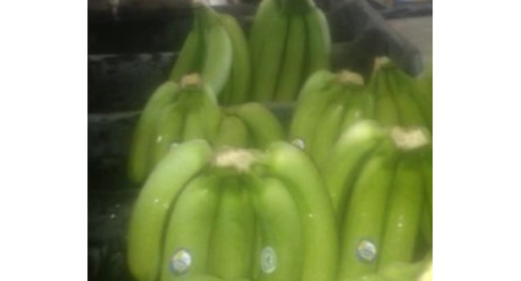 Se vende banano verde. valery en cajas