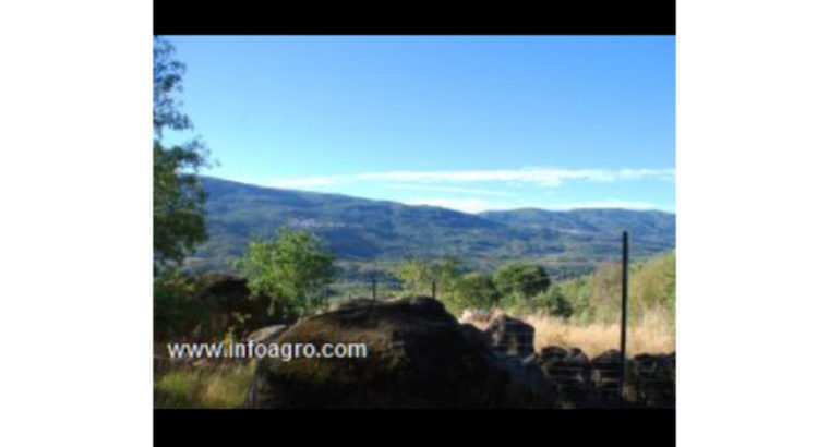 Se vende el ultimo molino del valle del jerte