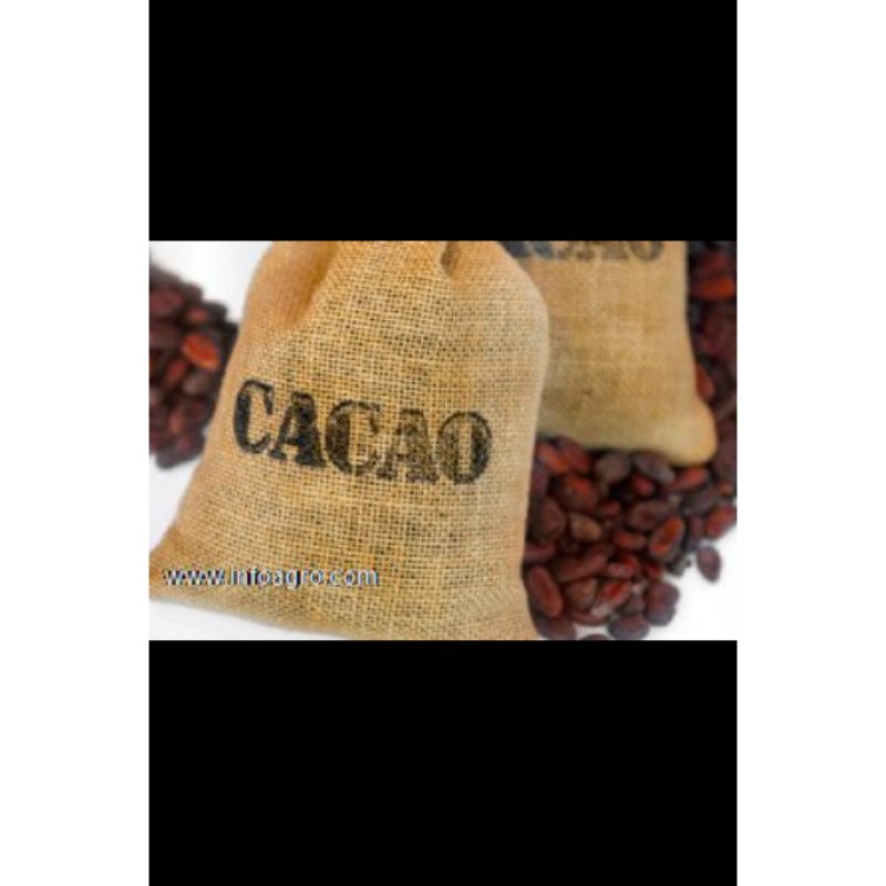 Se vende almendra de cacao seco