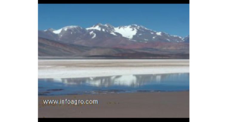 Se vende campo en argentina