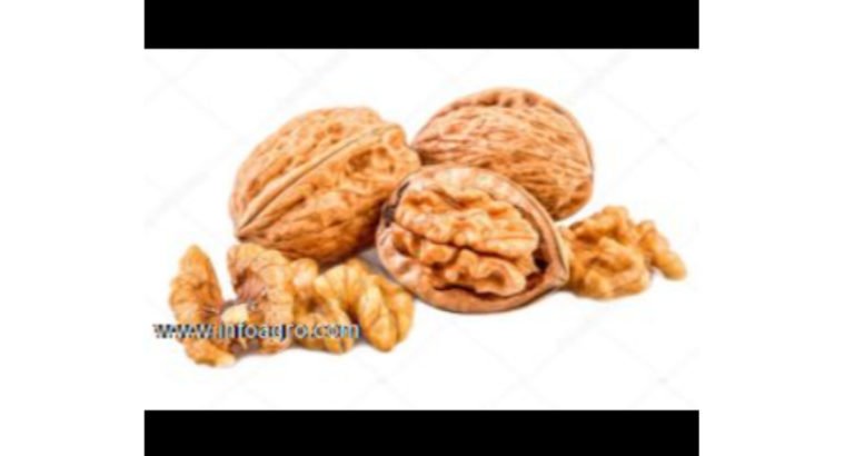 Se vende nueces francesas