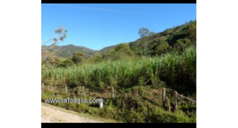 Se vende finca cultivos plátano,con micro empresa