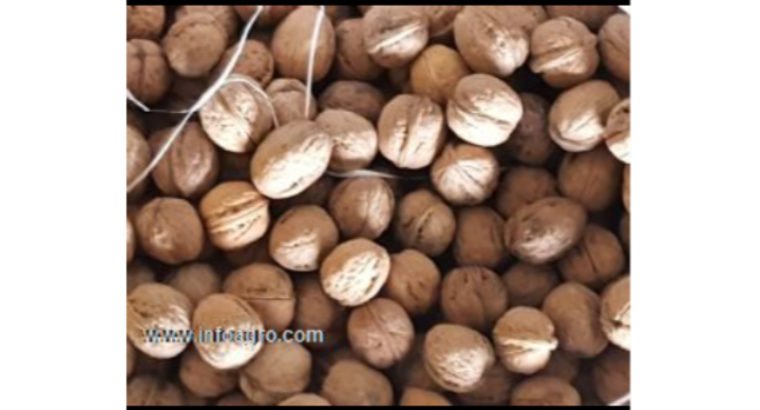 Se vende nueces cascara de Ucrania