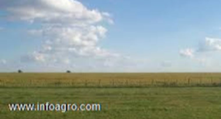 Se vende granja agroacuicola de 6 ha