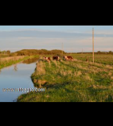 Se vende finca con regadío en argentina