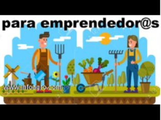 Se vende fincas de cultivo agrícola