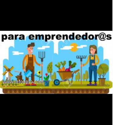 Se vende fincas de cultivo agrícola