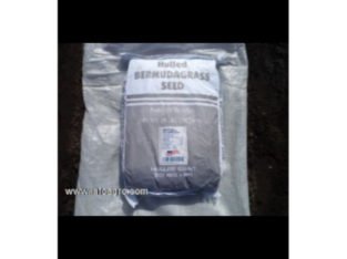 Se vende semilla grama natural bermuda grass