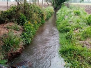 Campo de 22,4 hectáreas, con mucha agua