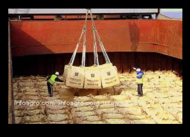 Se vende arroz de exportacion