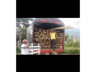 Se vende de guadua bambu inmunizada por inyeccion