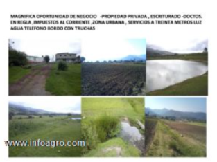 Se vende adquiera hermoso terreno en chapa de mota