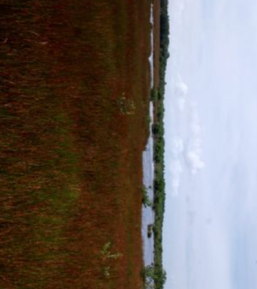 Se vende rancho en candelaria, campeche, méxico