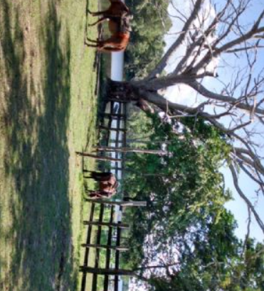 Se vende rancho en candelaria, campeche, méxico