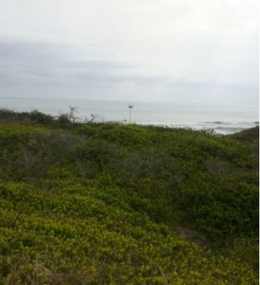 Se vende terreno con playa,golfo de méxico