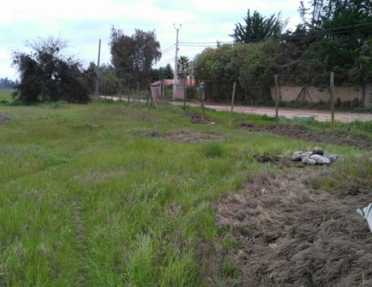 Venta de terreno de 50002 agroindustrial