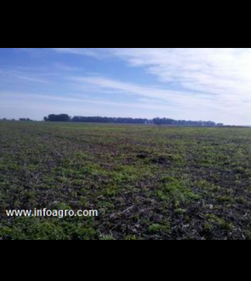 Se vende campo ganadero en buenos aires