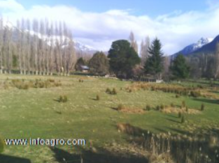 Se vende 2 hectareas en epuyen chubut