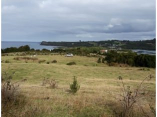 CAMPO EN CHILOÉ