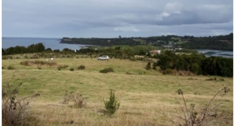 CAMPO EN CHILOÉ