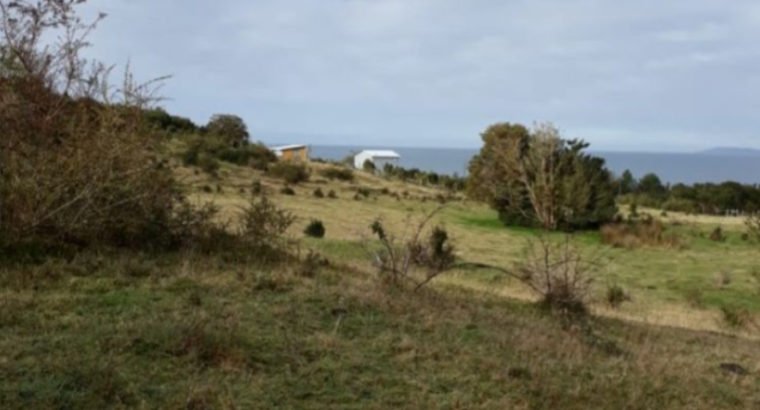 CAMPO EN CHILOÉ