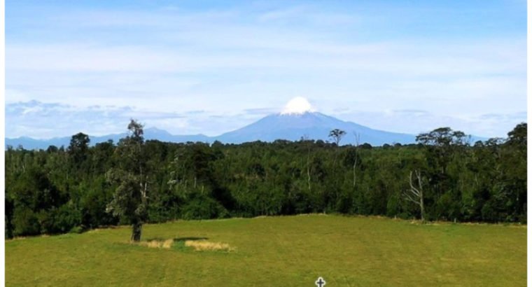 Hermosas parcelas de 5000 M2 en Puerto Octay