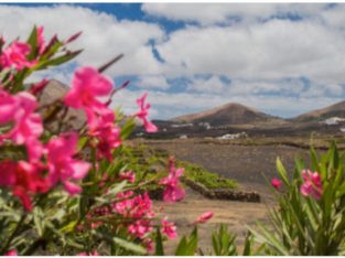 MANTENIMIENTO Y CUIDADO FINCA