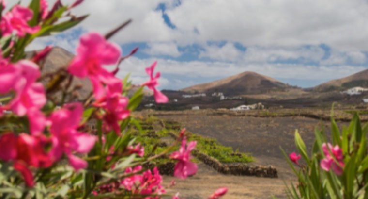 MANTENIMIENTO Y CUIDADO FINCA