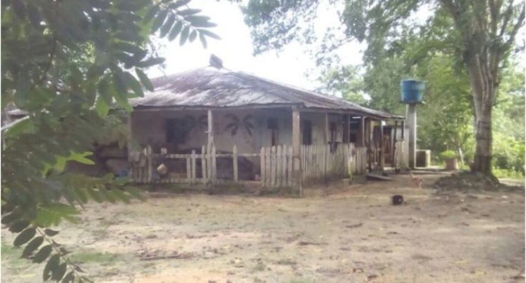 Finca Ganadera De 170 Hectáreas