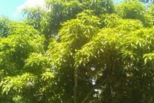 Se vende hermosa finca cerca de Bogotá