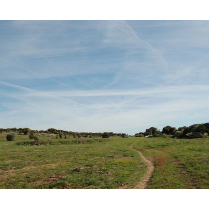 A 1, 5KMM DE LA LOCALIDAD